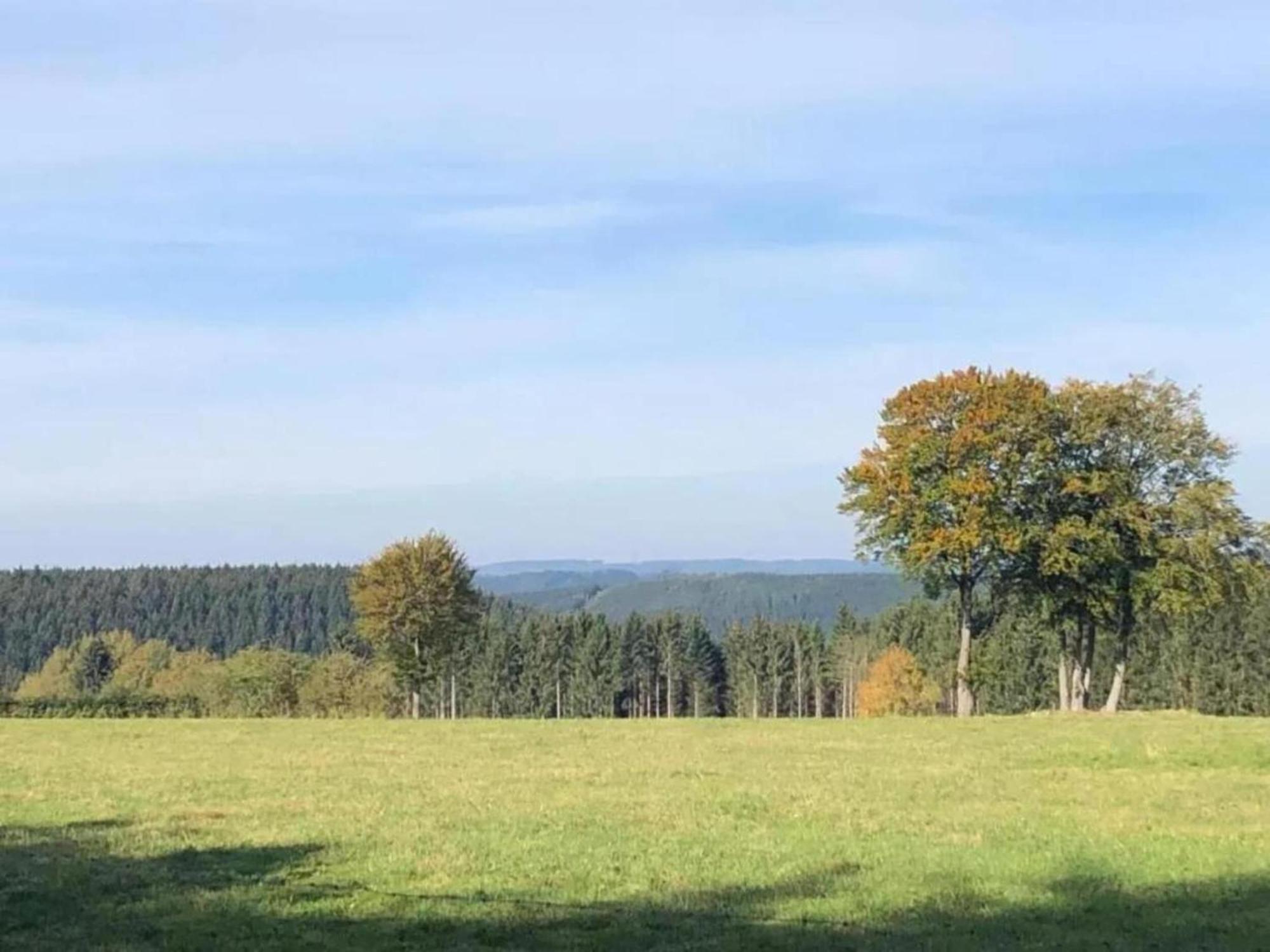 Holiday Home Ardennes Blue In Theux Near Spa La Reid エクステリア 写真