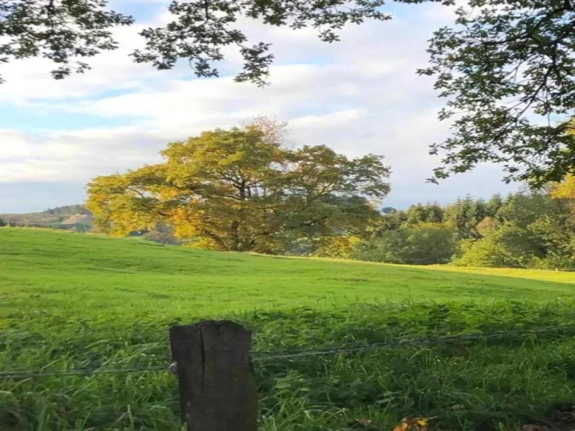 Holiday Home Ardennes Blue In Theux Near Spa La Reid エクステリア 写真